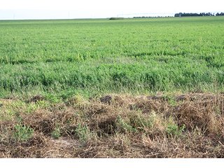 Property photo 43 - LAND AUCTION, 3255+/- Acres offered in 13 Tracts